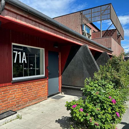 Sentrumsvegen - Private Studio Apartment In Gol Eksteriør bilde