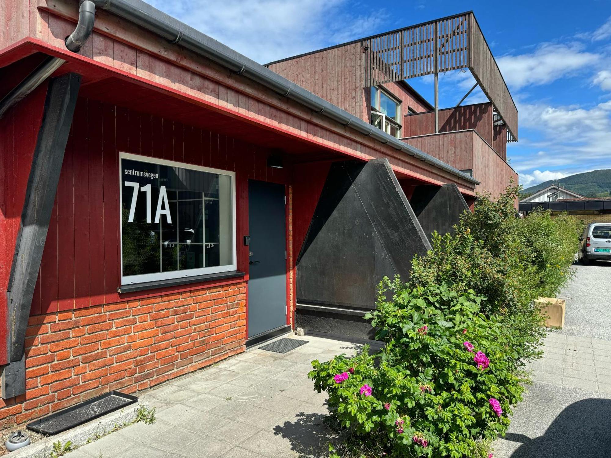 Sentrumsvegen - Private Studio Apartment In Gol Eksteriør bilde